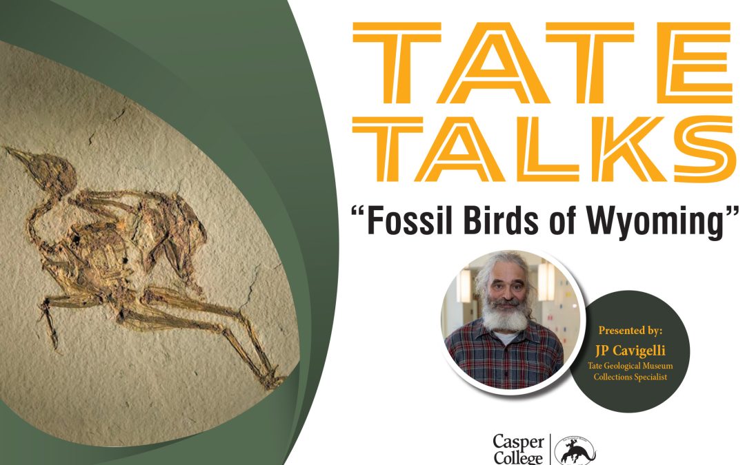 Examine Fossil Birds of Wyoming during the first lively ‘Tate Talk’ at Casper College