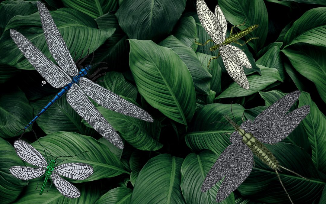 Ancient and scary insects visit the Tate Geological Museum March 7