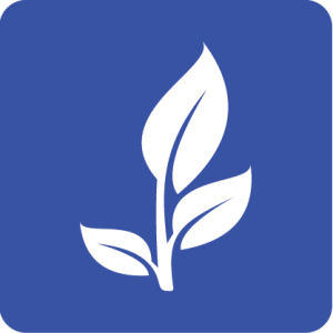 White leaf icon on blue background