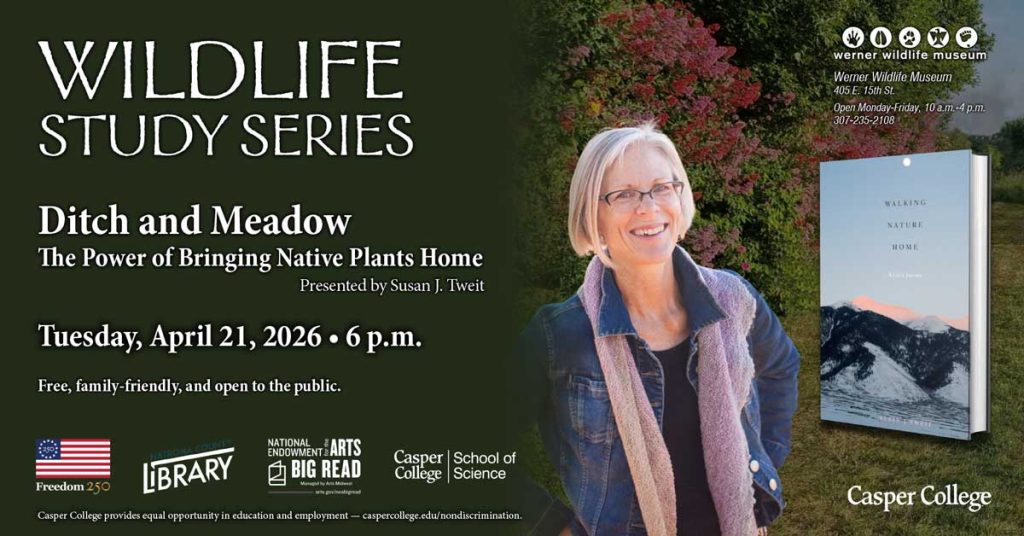 Promotional graphic for the Wildlife Study Series featuring a talk titled “Ditch and Meadow: The Power of Bringing Native Plants Home,” presented by Susan J. Tweit on Tuesday, April 21, 2026 at 6 p.m. The event is free, family-friendly, and open to the public. The design shows a smiling woman standing outdoors beside a large book cover image of Walking Nature Home. Event details and the Werner Wildlife Museum logo appear in the upper right with the address 405 E. 15th St., Monday–Friday 10 a.m.–4 p.m., 307-235-2108. Logos for Casper College, the National Endowment for the Arts Big Read, and the Natrona County Library appear along the bottom.