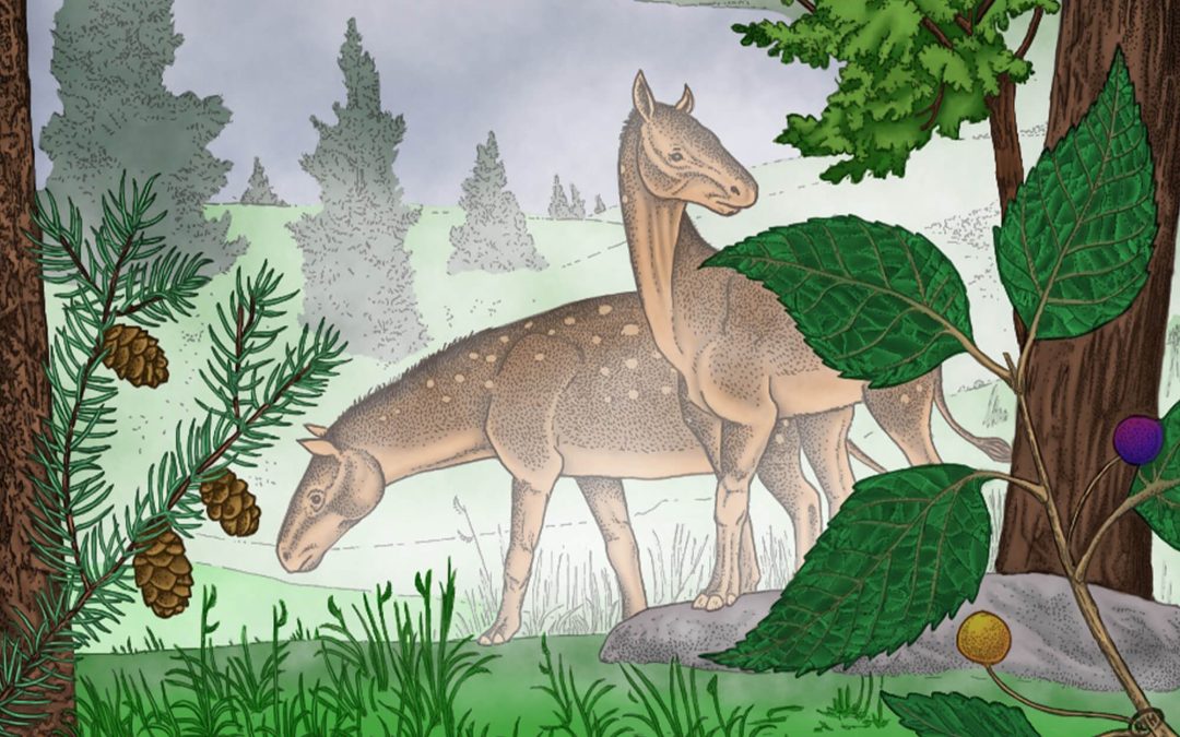 ‘Trunks, Trees, and Leaves’ topic provides fun for April Saturday Club