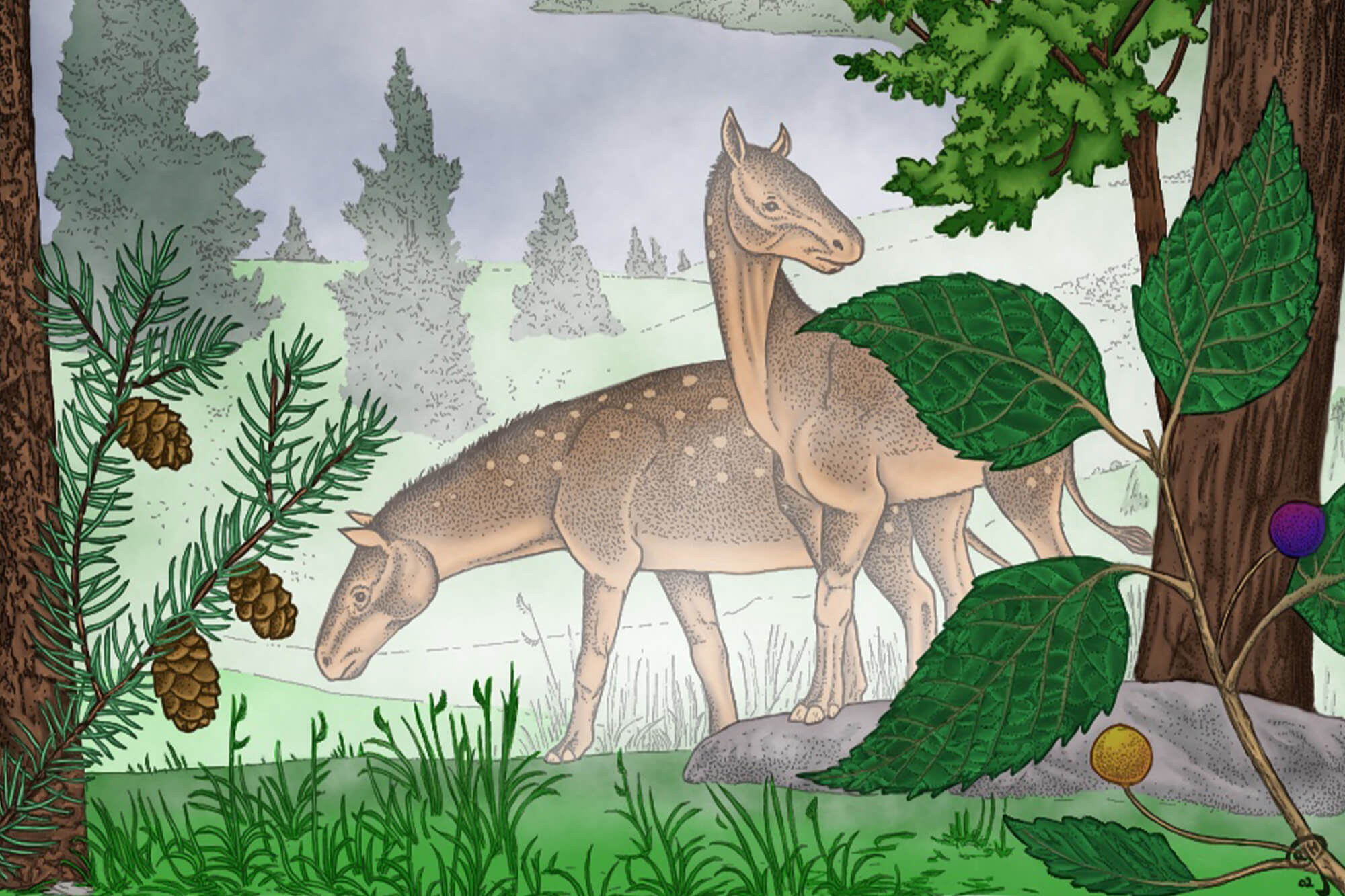 april-saturday-club-26 Illustration of prehistoric-style deer grazing among various evergreen and deciduous trees with detailed leaves and pinecones.