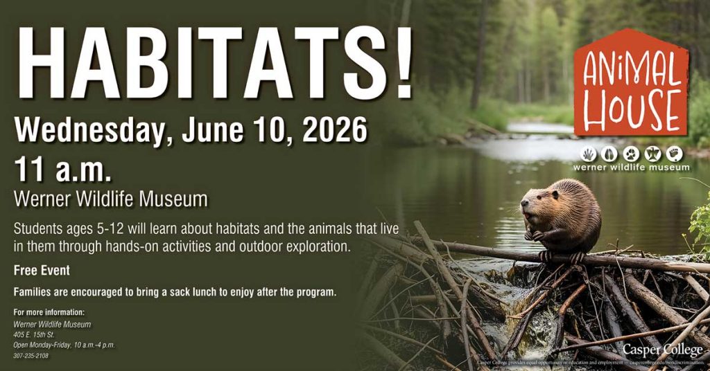 Flyer for ‘Habitats!’ children’s program at Werner Wildlife Museum on Wednesday, June 10, 2026 at 11 a.m., featuring a beaver on a dam in a forest stream and details about hands-on learning for ages 5–12.