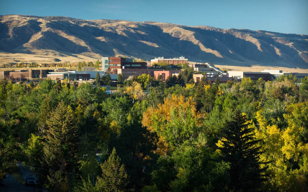 OLLI and community education fall 2026 class proposals due April 14