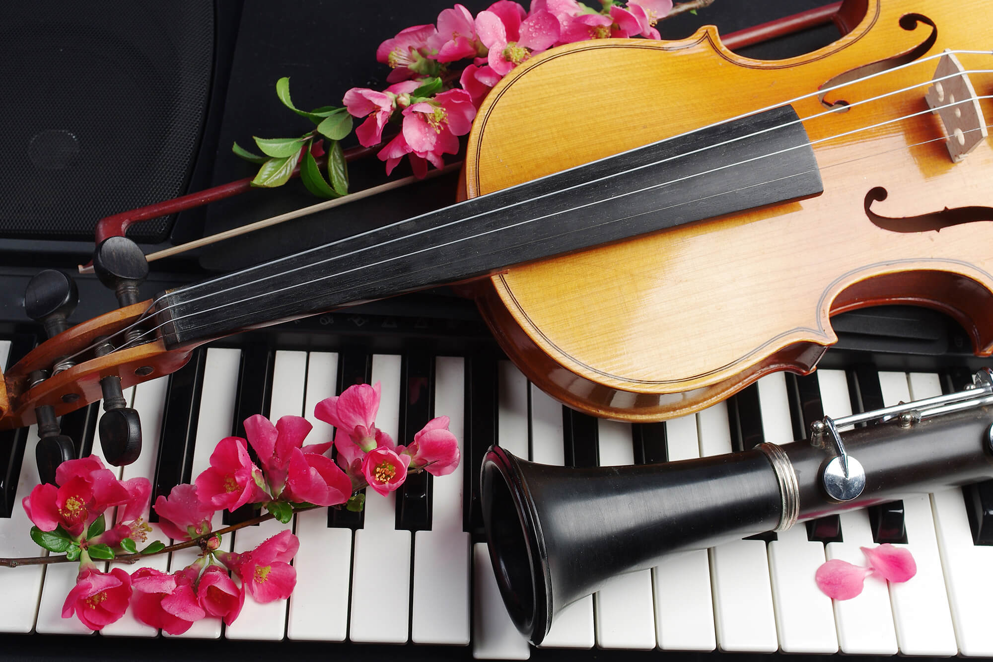 A violin and clarinet resting on piano keys decorated with pink flowers.
