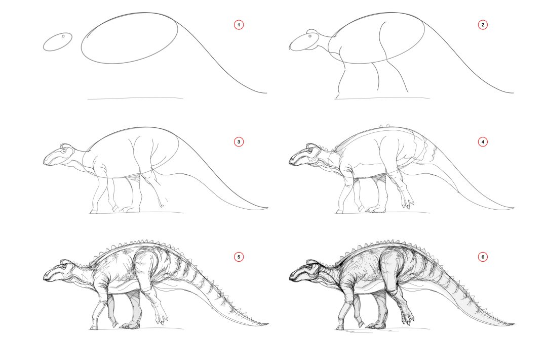 Animal drawing and how to do it at May Saturday Club at Tate Geological Museum