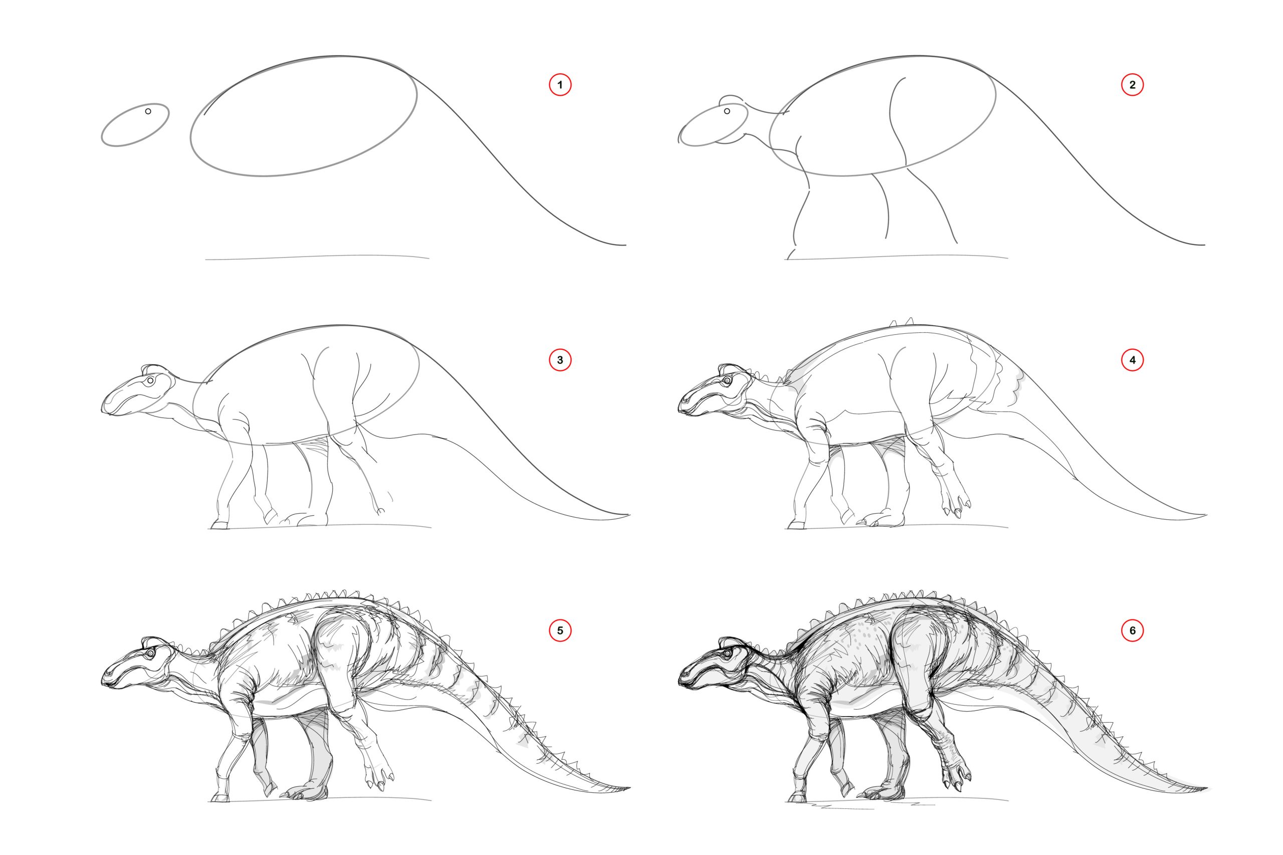 A six-step drawing tutorial showing the progression of an Edmontosaurus from basic ovals to a detailed, shaded illustration.