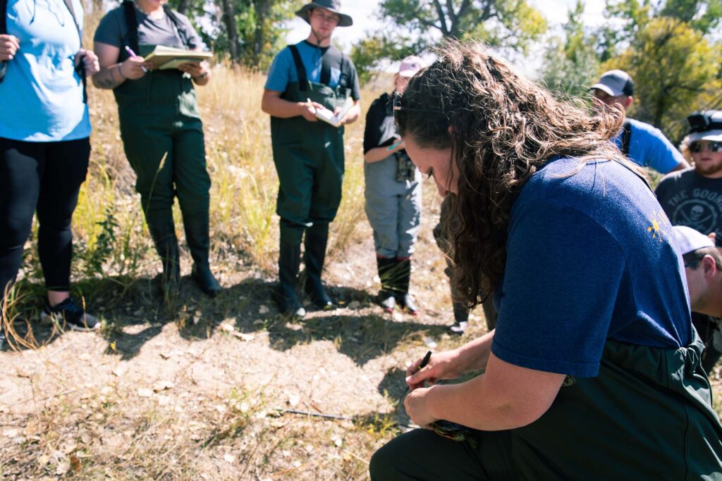 Students record field observations while examining wildlife during a field ecology lab.
