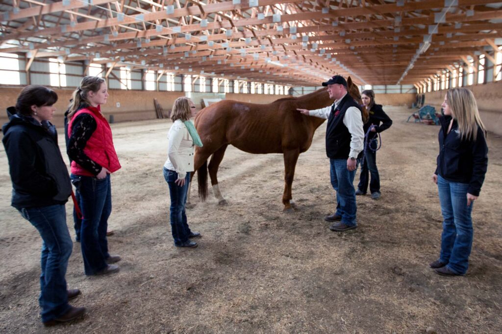 Instructor demonstrates horse handling techniques to students during an equine-assisted therapy class in an indoor arena.