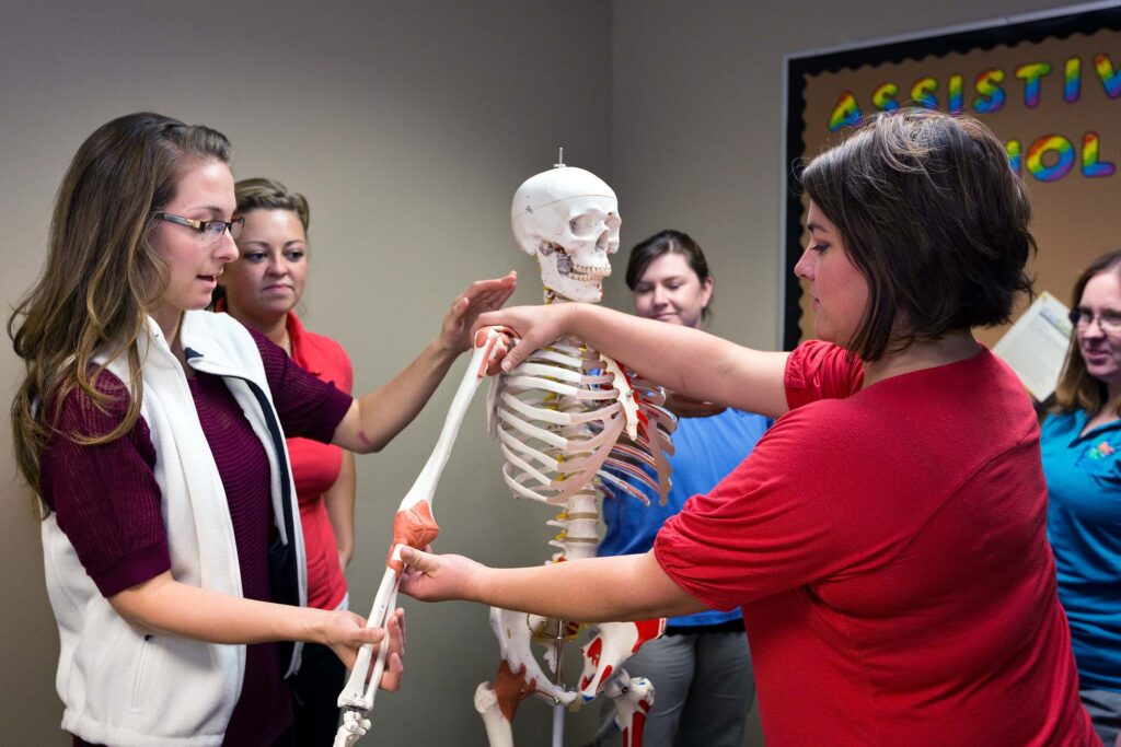 Occupational therapy assistant students study joint movement using a life-size anatomical skeleton model.