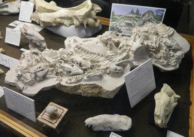 Oligocene