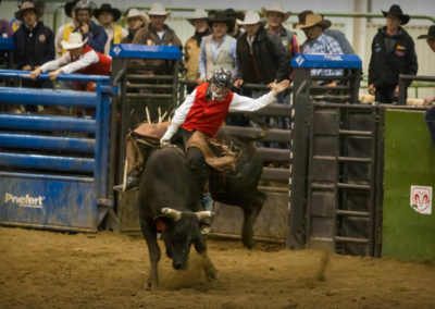 Casper College Thunderbird rodeo bull rider competing.