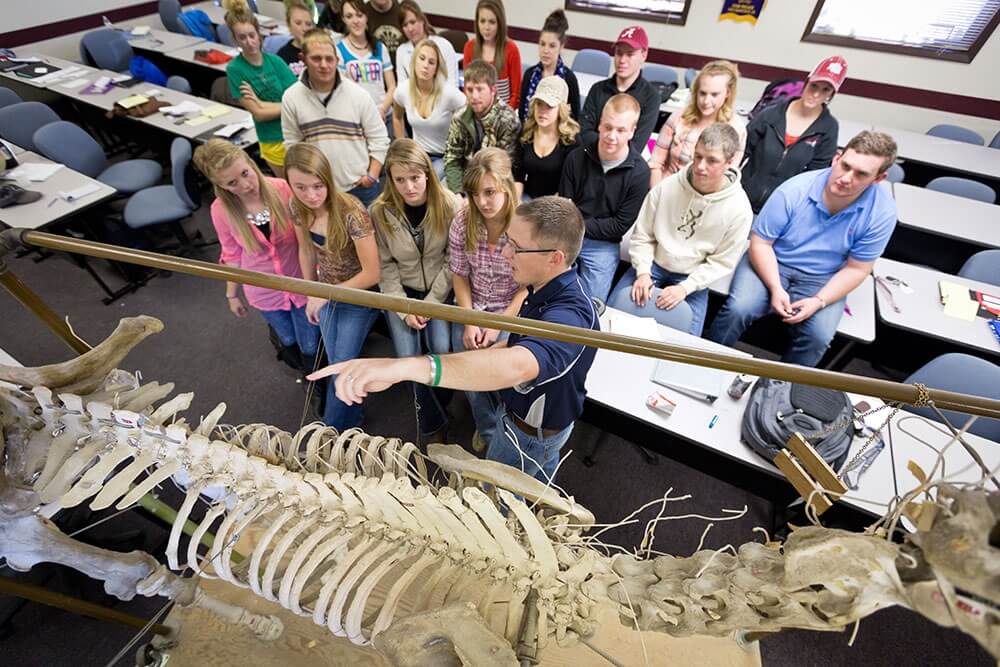 cc ag classroom skeleton
